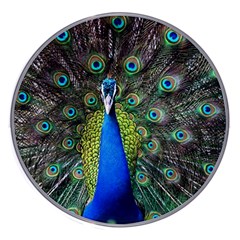 Peacock Bird Feathers Pheasant Nature Animal Texture Pattern Wireless Fast Charger(white)