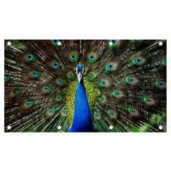 Peacock Bird Feathers Pheasant Nature Animal Texture Pattern Banner And Sign 7  X 4  by Bedest