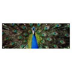 Peacock Bird Feathers Pheasant Nature Animal Texture Pattern Banner And Sign 8  X 3  by Bedest