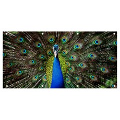 Peacock Bird Feathers Pheasant Nature Animal Texture Pattern Banner And Sign 8  X 4  by Bedest