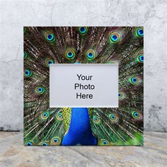 Peacock Bird Feathers Pheasant Nature Animal Texture Pattern White Box Photo Frame 4  X 6  by Bedest