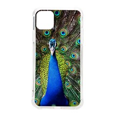 Peacock Bird Feathers Pheasant Nature Animal Texture Pattern Iphone 11 Pro Max 6 5 Inch Tpu Uv Print Case