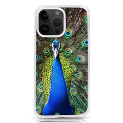 Peacock Bird Feathers Pheasant Nature Animal Texture Pattern Iphone 14 Pro Max Tpu Uv Print Case by Bedest