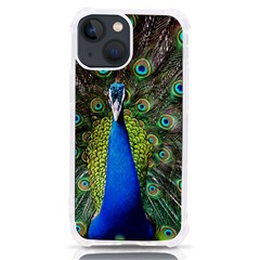 Peacock Bird Feathers Pheasant Nature Animal Texture Pattern Iphone 13 Mini Tpu Uv Print Case by Bedest