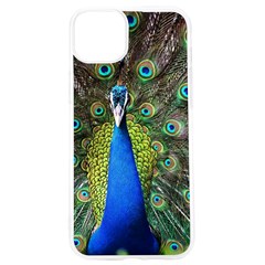 Peacock Bird Feathers Pheasant Nature Animal Texture Pattern Iphone 15 Pro Tpu Uv Print Case