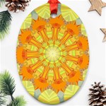 Sunshine-sunny-sun-abstract-yellow - Oval Ornament (Two Sides) Back