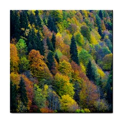 Forest Trees Leaves Fall Autumn Nature Sunshine Tile Coaster by Ravend