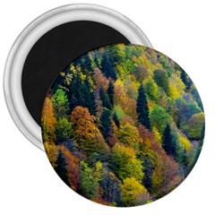 Forest Trees Leaves Fall Autumn Nature Sunshine 3  Magnets by Ravend