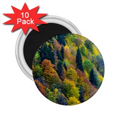 Forest Trees Leaves Fall Autumn Nature Sunshine 2 25  Magnets (10 Pack)  by Ravend