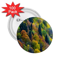 Forest Trees Leaves Fall Autumn Nature Sunshine 2 25  Buttons (100 Pack)  by Ravend