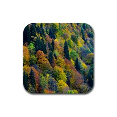 Forest Trees Leaves Fall Autumn Nature Sunshine Rubber Square Coaster (4 Pack) by Ravend