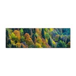 Forest Trees Leaves Fall Autumn Nature Sunshine Sticker (Bumper) Front