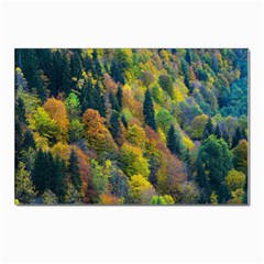 Forest Trees Leaves Fall Autumn Nature Sunshine Postcard 4 x 6  (pkg Of 10) by Ravend