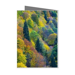 Forest Trees Leaves Fall Autumn Nature Sunshine Mini Greeting Cards (pkg Of 8) by Ravend