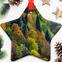 Forest Trees Leaves Fall Autumn Nature Sunshine Star Ornament (two Sides)