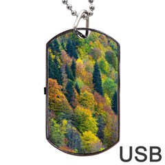 Forest Trees Leaves Fall Autumn Nature Sunshine Dog Tag Usb Flash (one Side) by Ravend