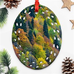 Forest Trees Leaves Fall Autumn Nature Sunshine Oval Filigree Ornament (two Sides)