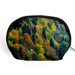 Forest Trees Leaves Fall Autumn Nature Sunshine Accessory Pouch (medium) by Ravend