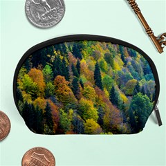 Forest Trees Leaves Fall Autumn Nature Sunshine Accessory Pouch (large) by Ravend