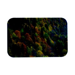 Forest Trees Leaves Fall Autumn Nature Sunshine Open Lid Metal Box (silver)   by Ravend