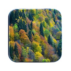 Forest Trees Leaves Fall Autumn Nature Sunshine Square Metal Box (black) by Ravend