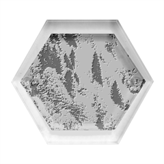 Forest Trees Leaves Fall Autumn Nature Sunshine Hexagon Wood Jewelry Box by Ravend