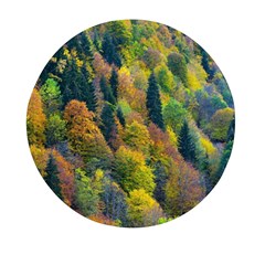 Forest Trees Leaves Fall Autumn Nature Sunshine Mini Round Pill Box by Ravend