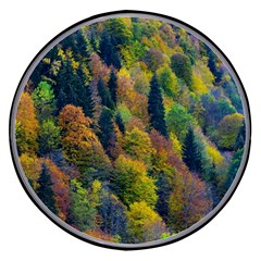 Forest Trees Leaves Fall Autumn Nature Sunshine Wireless Fast Charger(black) by Ravend