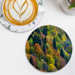 Forest Trees Leaves Fall Autumn Nature Sunshine Uv Print Round Tile Coaster by Ravend