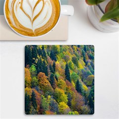 Forest Trees Leaves Fall Autumn Nature Sunshine Uv Print Square Tile Coaster  by Ravend