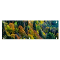 Forest Trees Leaves Fall Autumn Nature Sunshine Banner And Sign 6  X 2  by Ravend