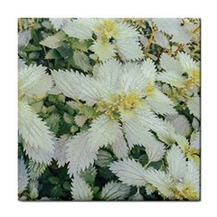 Enchanting Foliage Sharp Edged Leaves In Pale Yellow And Silver Bk Tile Coaster by dflcprintsclothing