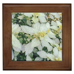 Enchanting Foliage Sharp Edged Leaves In Pale Yellow And Silver Bk Framed Tile by dflcprintsclothing