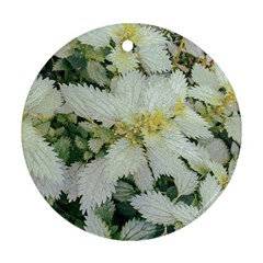 Enchanting Foliage Sharp Edged Leaves In Pale Yellow And Silver Bk Ornament (round) by dflcprintsclothing