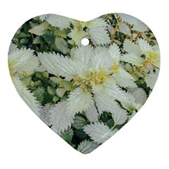 Enchanting Foliage Sharp Edged Leaves In Pale Yellow And Silver Bk Ornament (heart)