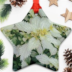 Enchanting Foliage Sharp Edged Leaves In Pale Yellow And Silver Bk Ornament (star) by dflcprintsclothing