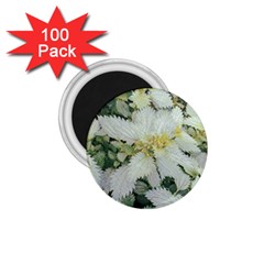 Enchanting Foliage Sharp Edged Leaves In Pale Yellow And Silver Bk 1 75  Magnets (100 Pack)  by dflcprintsclothing