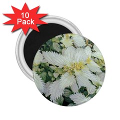 Enchanting Foliage Sharp Edged Leaves In Pale Yellow And Silver Bk 2 25  Magnets (10 Pack)  by dflcprintsclothing