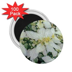 Enchanting Foliage Sharp Edged Leaves In Pale Yellow And Silver Bk 2 25  Magnets (100 Pack)  by dflcprintsclothing