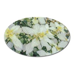 Enchanting Foliage Sharp Edged Leaves In Pale Yellow And Silver Bk Oval Magnet by dflcprintsclothing