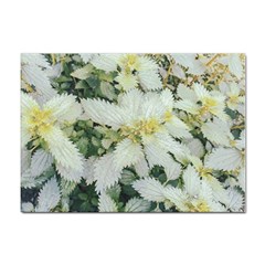 Enchanting Foliage Sharp Edged Leaves In Pale Yellow And Silver Bk Sticker A4 (10 Pack) by dflcprintsclothing