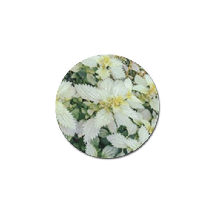 Enchanting Foliage Sharp Edged Leaves In Pale Yellow And Silver Bk Golf Ball Marker