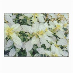 Enchanting Foliage Sharp Edged Leaves In Pale Yellow And Silver Bk Postcards 5  X 7  (pkg Of 10) by dflcprintsclothing