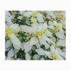 Enchanting Foliage Sharp Edged Leaves In Pale Yellow And Silver Bk Small Glasses Cloth by dflcprintsclothing