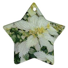 Enchanting Foliage Sharp Edged Leaves In Pale Yellow And Silver Bk Star Ornament (two Sides) by dflcprintsclothing