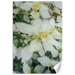 Enchanting Foliage Sharp Edged Leaves In Pale Yellow And Silver Bk Canvas 12  X 18  by dflcprintsclothing