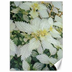 Enchanting Foliage Sharp Edged Leaves In Pale Yellow And Silver Bk Canvas 36  X 48  by dflcprintsclothing