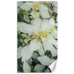 Enchanting Foliage Sharp Edged Leaves In Pale Yellow And Silver Bk Canvas 40  X 72 