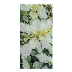 Enchanting Foliage Sharp Edged Leaves In Pale Yellow And Silver Bk Shower Curtain 36  X 72  (stall)  by dflcprintsclothing