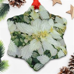 Enchanting Foliage Sharp Edged Leaves In Pale Yellow And Silver Bk Snowflake Ornament (two Sides)